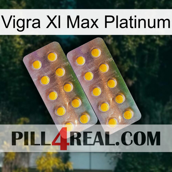 Vigra Xl Max Platinum new10.jpg